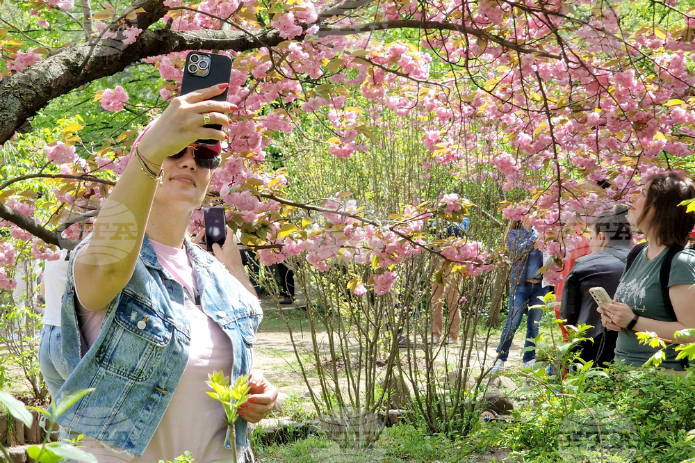 Румъния - Букурещ - японска градина