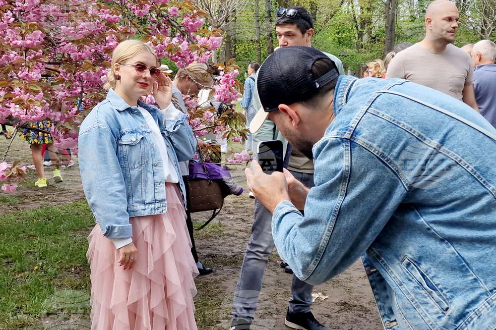 Румъния - Букурещ - японска градина