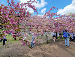 Румъния - Букурещ - японска градина