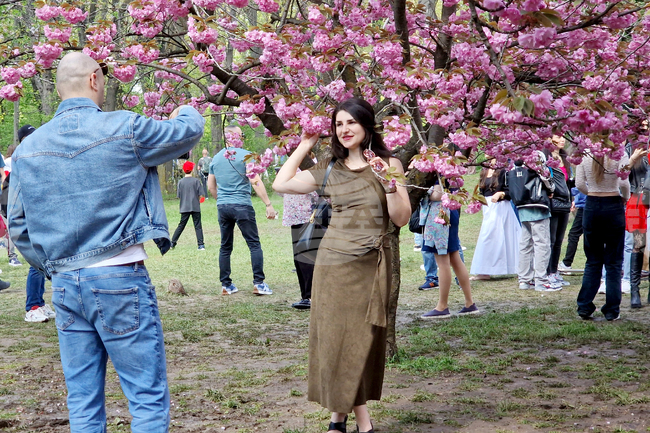 Румъния - Букурещ - японска градина