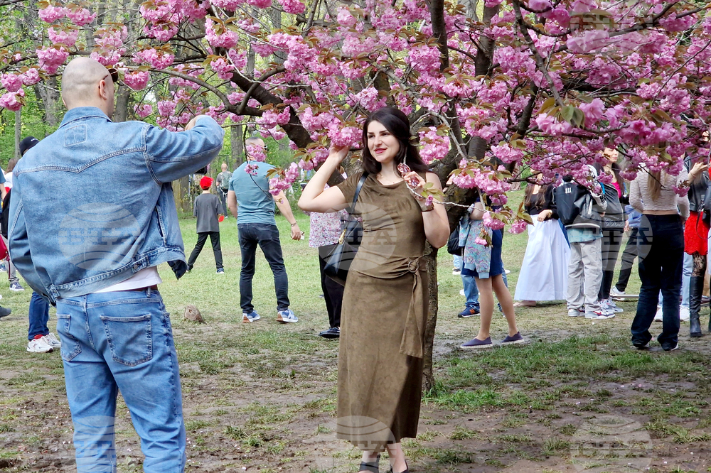 Румъния - Букурещ - японска градина