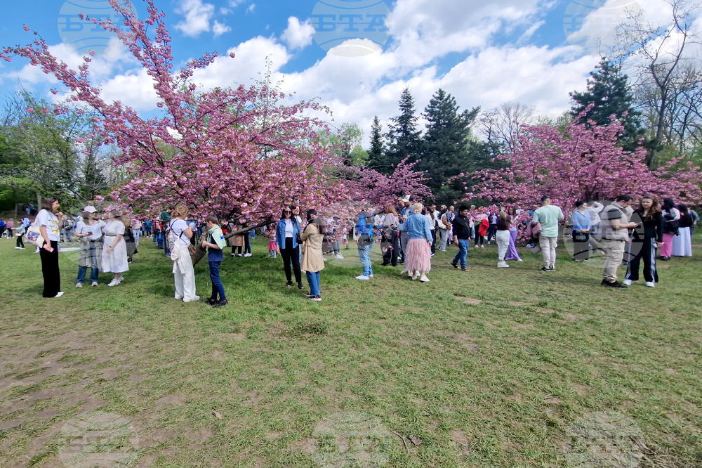 Румъния - Букурещ - японска градина