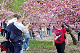 Румъния - Букурещ - японска градина
