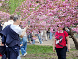 Румъния - Букурещ - японска градина