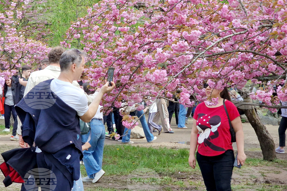 Румъния - Букурещ - японска градина