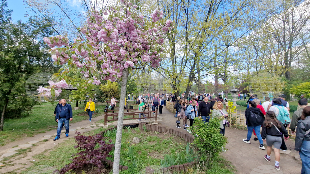 Румъния - Букурещ - японска градина