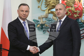 Румен Радев - Анджей Дуда - изявления