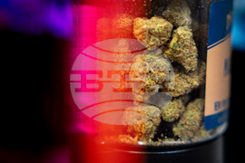Trump Marijuana Reclassification