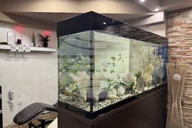 Павел баня - балнеохотел „Маркони“