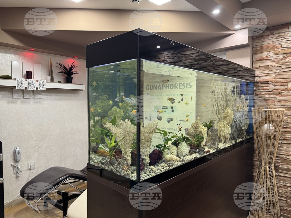 Павел баня - балнеохотел „Маркони“