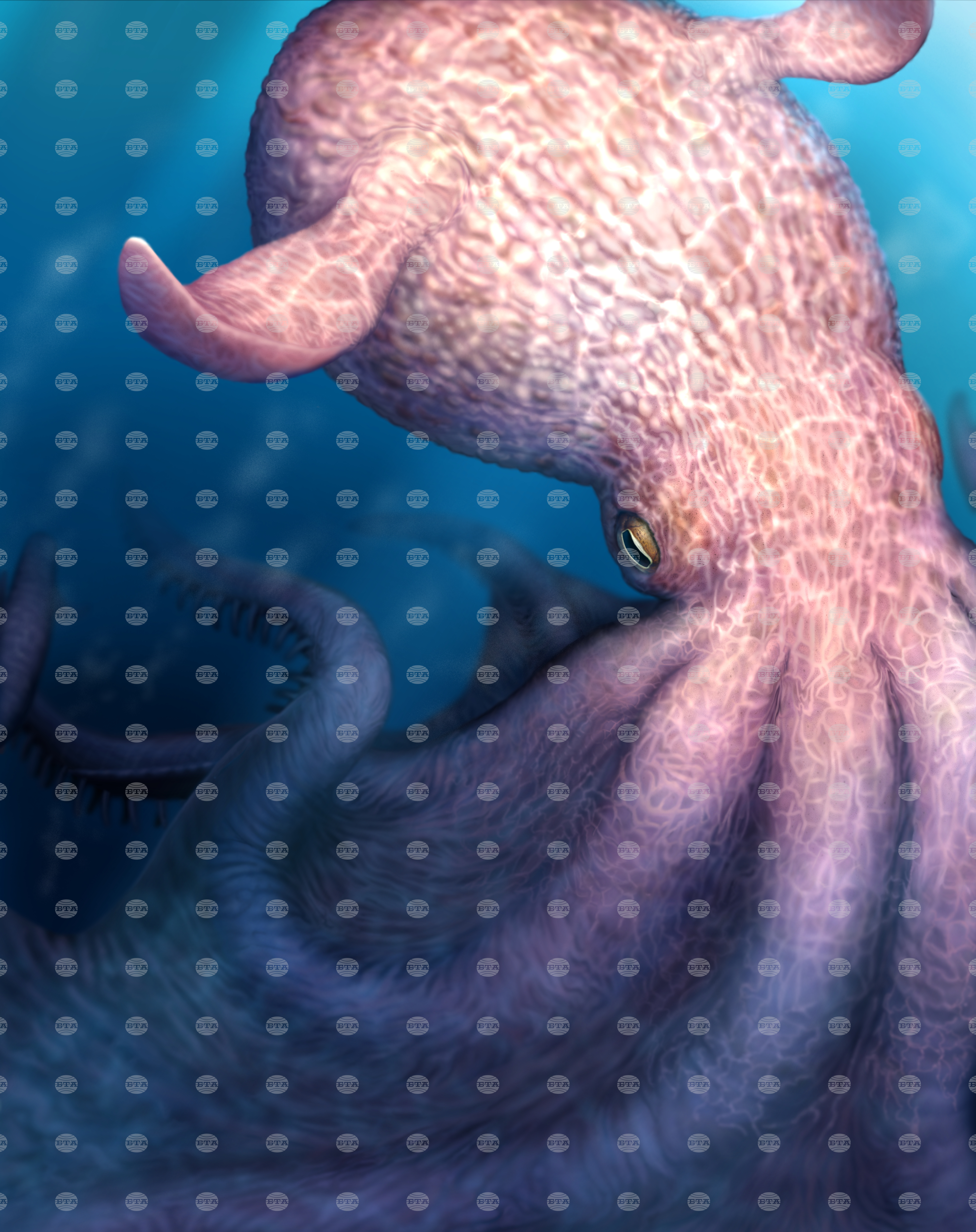 Ancient Predatory Octopus