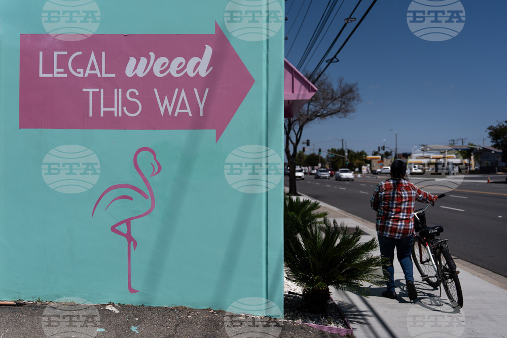 Trump Marijuana Reclassification