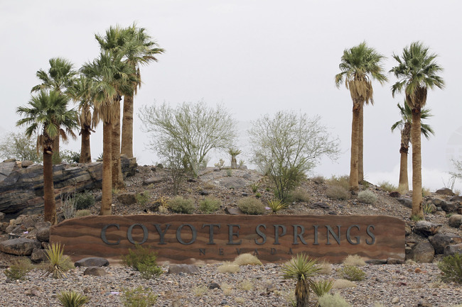 Coyote Springs Nevada Water Ruling