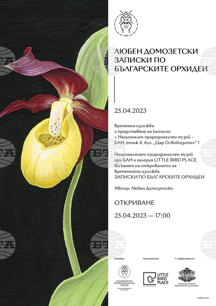 BAS Natural History Museum Presents Phototype Edition of "Notes on Bulgarian Orchids"