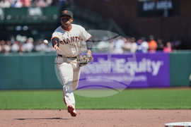 Dodgers Giants Baseball