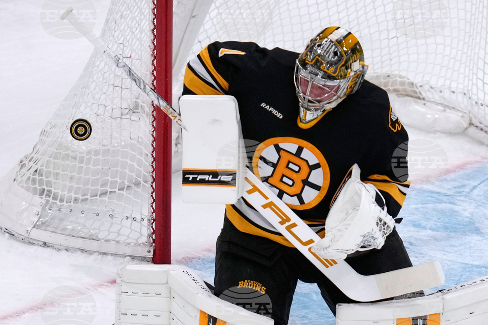 Sabres Bruins Hockey