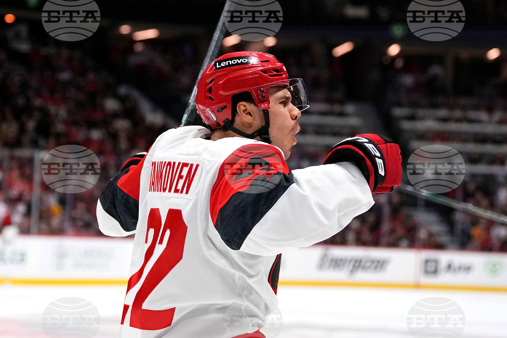 Hurricanes Senators Hockey