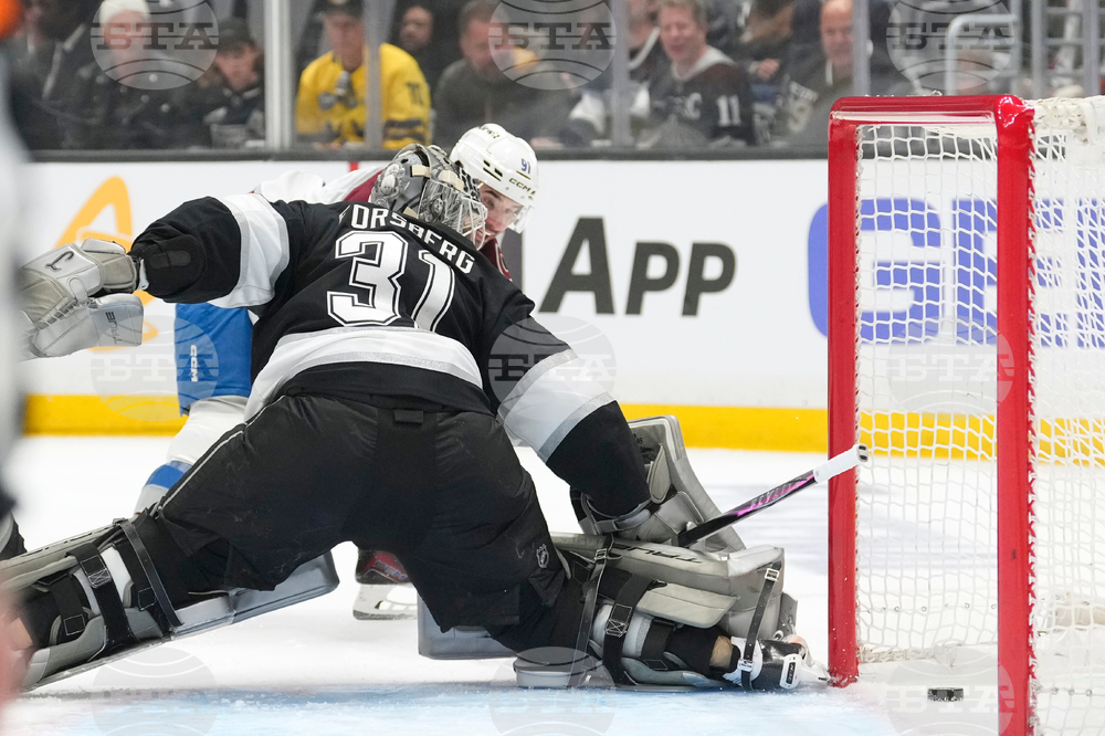 Avalanche Kings Hockey