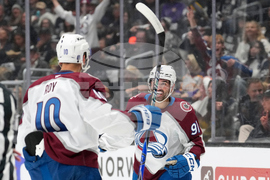 Avalanche Kings Hockey