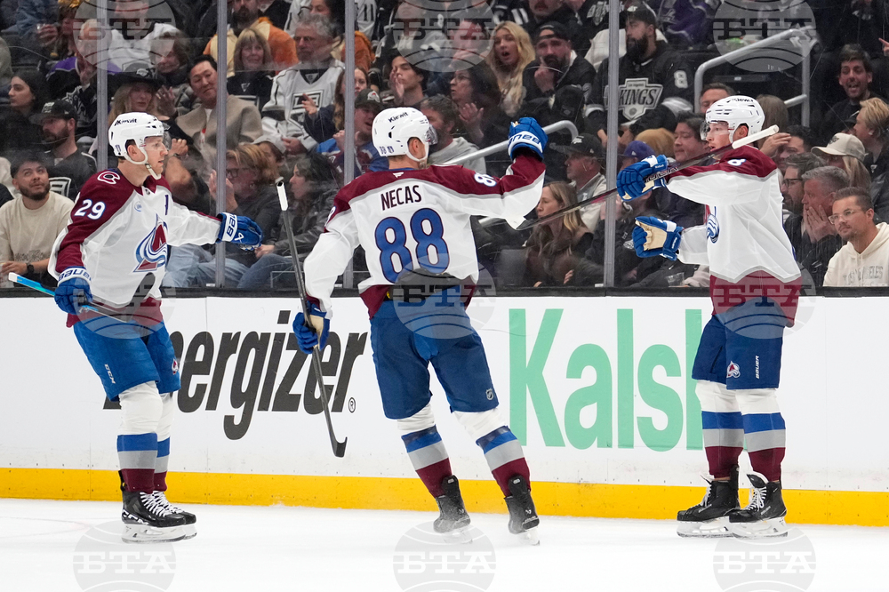 Avalanche Kings Hockey