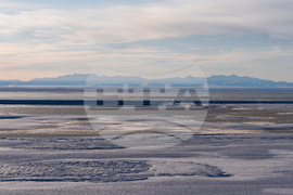 Alaska-Polar Bear Tourism