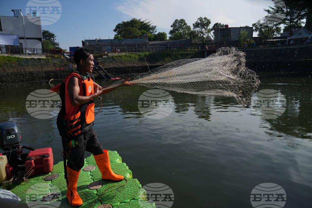 Indonesia Janitor Fish Clean Up