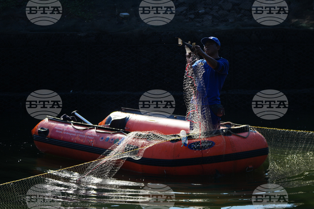 Indonesia Janitor Fish Clean Up