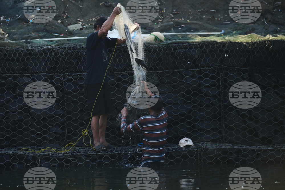 Indonesia Janitor Fish Clean Up