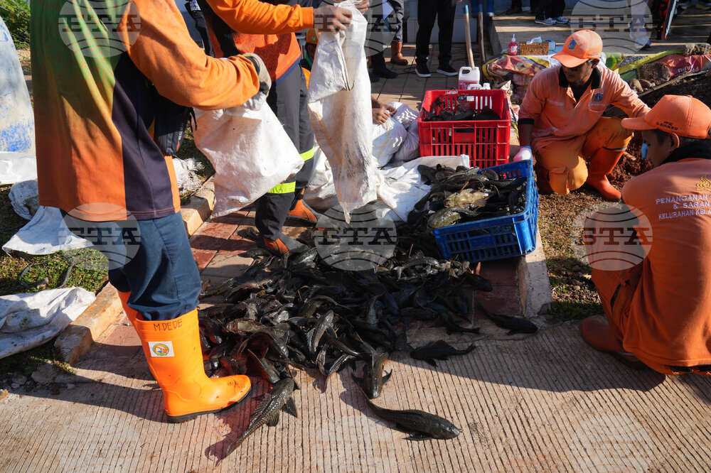 Indonesia Janitor Fish Clean Up