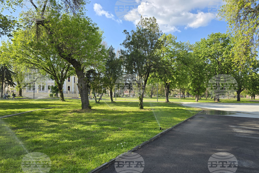 Видин - Крайдунавски парк - поливна система