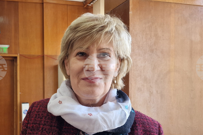 Методика за превантивна общностна работа и координационнен механизъм за превенция представи в Шумен Майя Грозданова