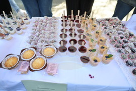 Пловдив - Университет по хранителни технологии - ден на отворените врати