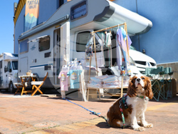 Изложение - Camping & Caravaning Expo 2026