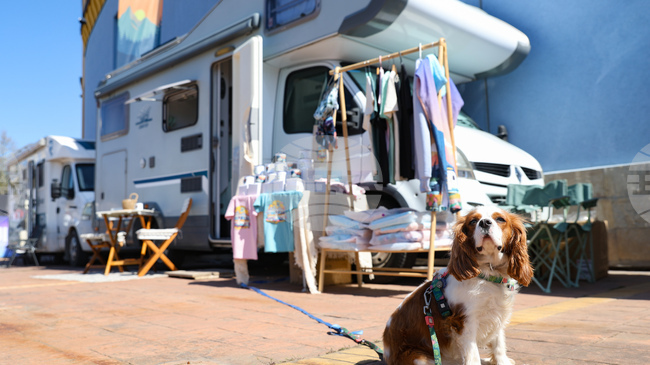 Близо 100 изложители участват в Camping & Caravaning Expo 2026 в София