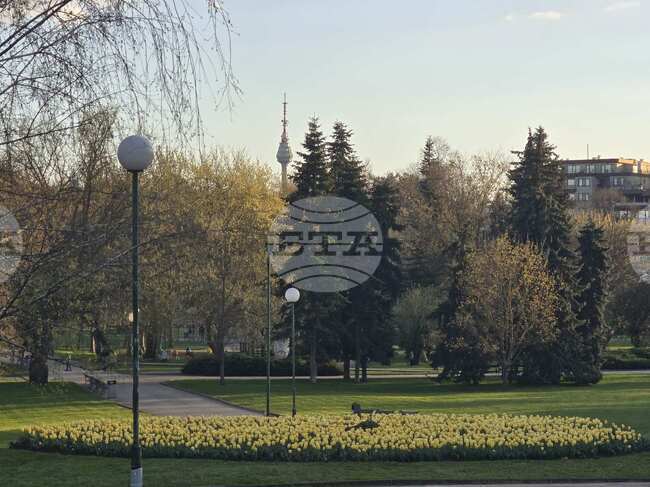 В Бюрото по труда в Добрич са обявени свободни работни позиции за медицински специалисти