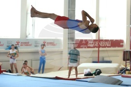 Държавно лично-отборно първенство по спортна гимнастика