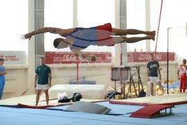 Държавно лично-отборно първенство по спортна гимнастика