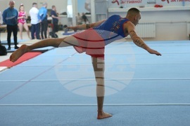 Държавно лично-отборно първенство по спортна гимнастика