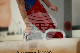 Държавно лично-отборно първенство по спортна гимнастика