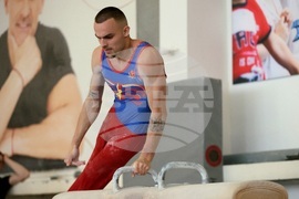 Държавно лично-отборно първенство по спортна гимнастика