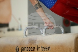 Държавно лично-отборно първенство по спортна гимнастика