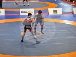 Борба: Шамил Мамедов