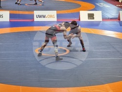 Борба: Шамил Мамедов