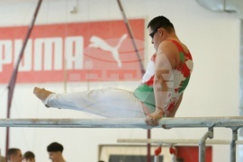 Държавно лично-отборно първенство по спортна гимнастика