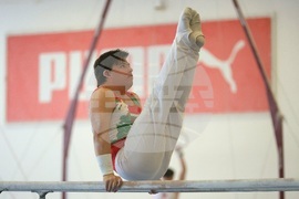 Държавно лично-отборно първенство по спортна гимнастика