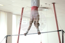 Държавно лично-отборно първенство по спортна гимнастика