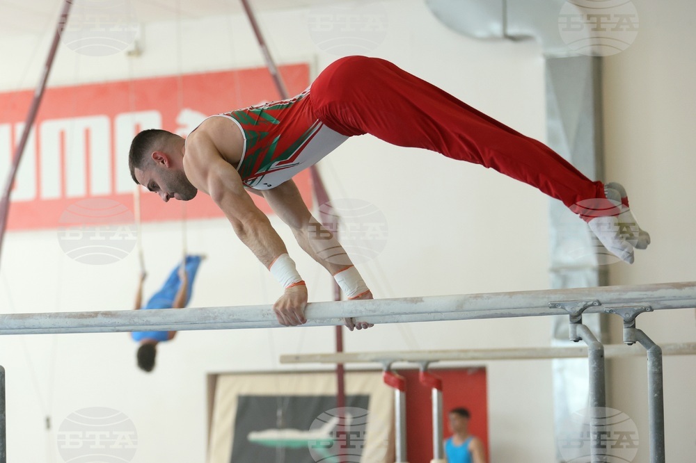 Държавно лично-отборно първенство по спортна гимнастика