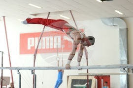 Държавно лично-отборно първенство по спортна гимнастика