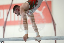 Държавно лично-отборно първенство по спортна гимнастика