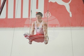 Държавно лично-отборно първенство по спортна гимнастика